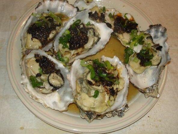 Steam Oyster