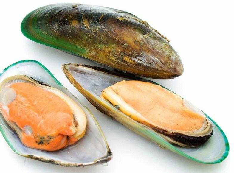 Green Mussel