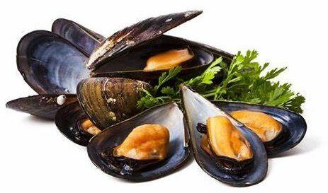 Black Mussel